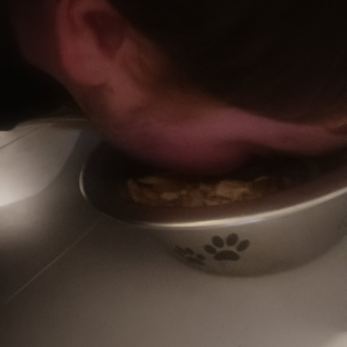 Fier de prendre mon premier repas en gamelle. Je n'ai plus à utiliser des couverts.

Merci <a href="/MasterOcc/">Cash Master Occ 👑</a> de m'éduquer, je sens la progression dans mon mental d'homme faible