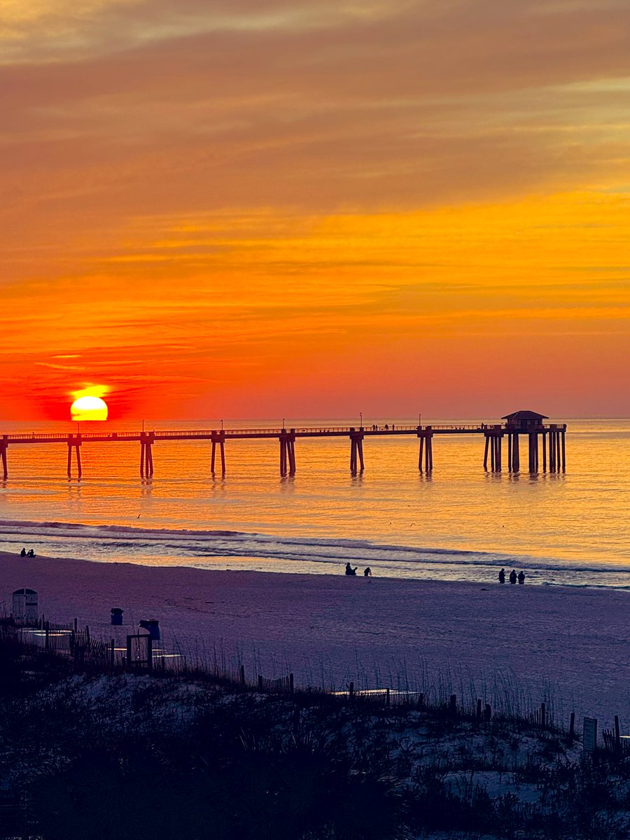 Selena J tweet media