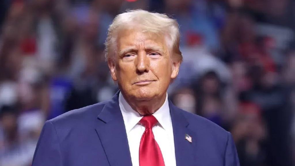 Bull Theory tweet media