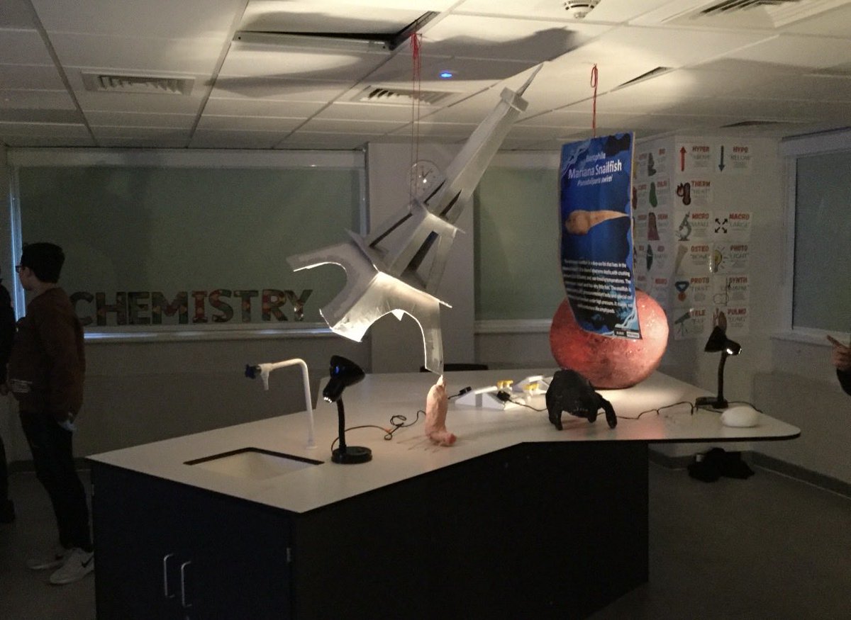 WappingHigh tweet media