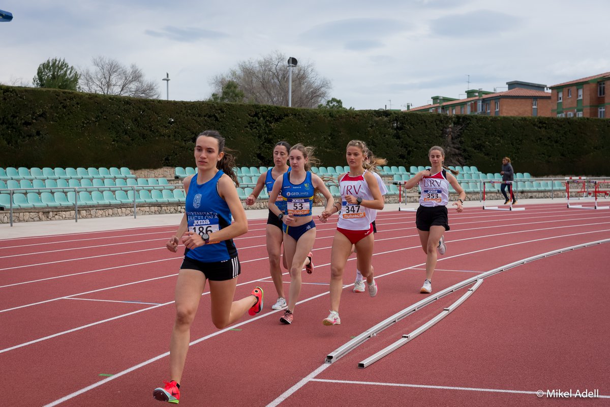 Universitat Rovira i Virgili tweet media