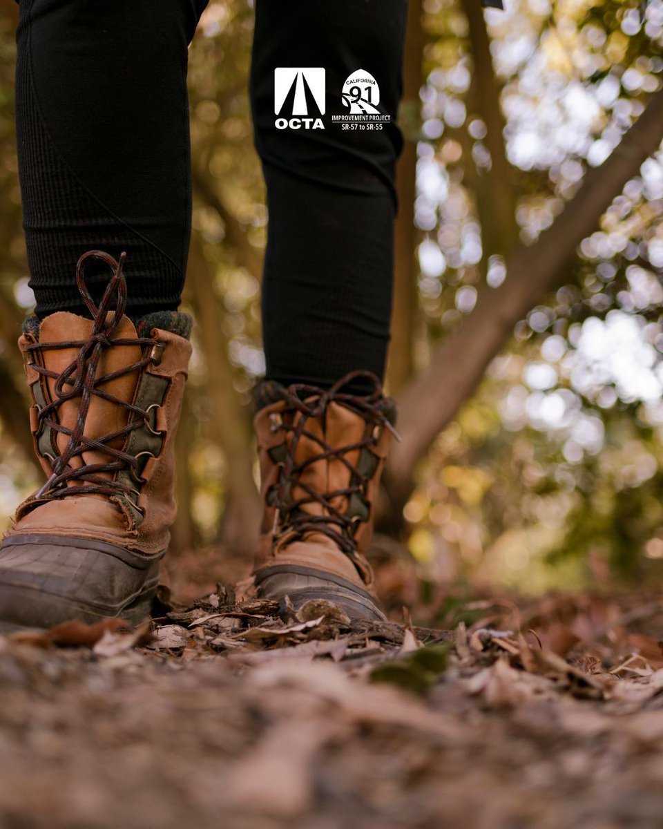 91 Improvements tweet media