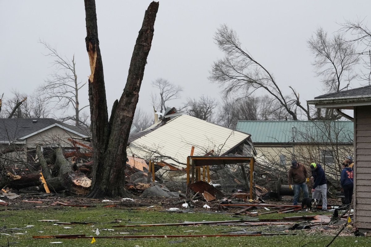 The Nation of Islam tweet media