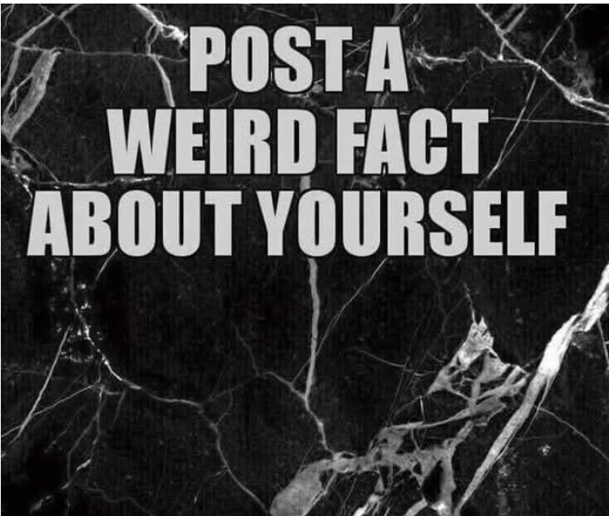 Julia Gordon-Bramer tweet media