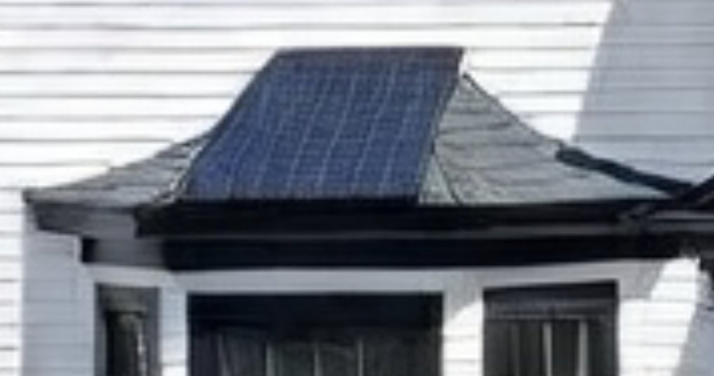 Jack Fields tweet media