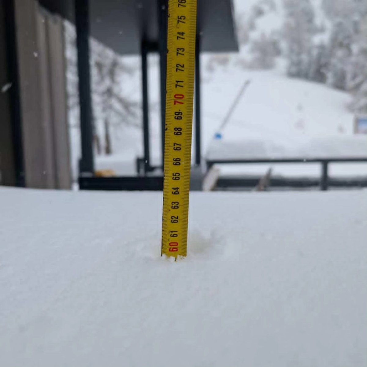 Snow Forecast.com tweet media