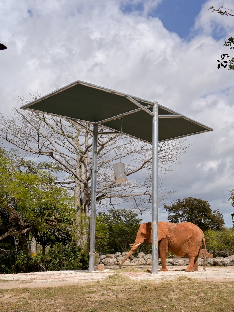 Zoo Miami tweet media