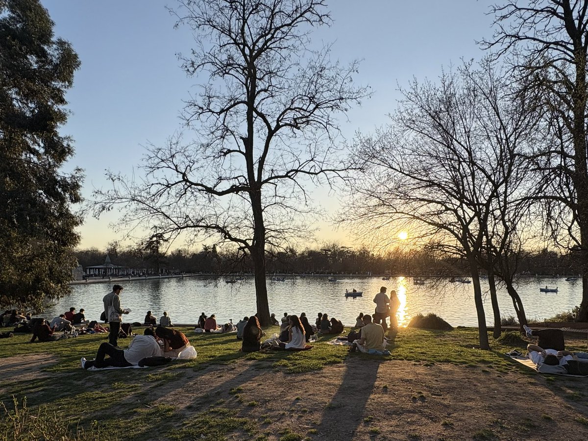 Almudena Castro Conde tweet media