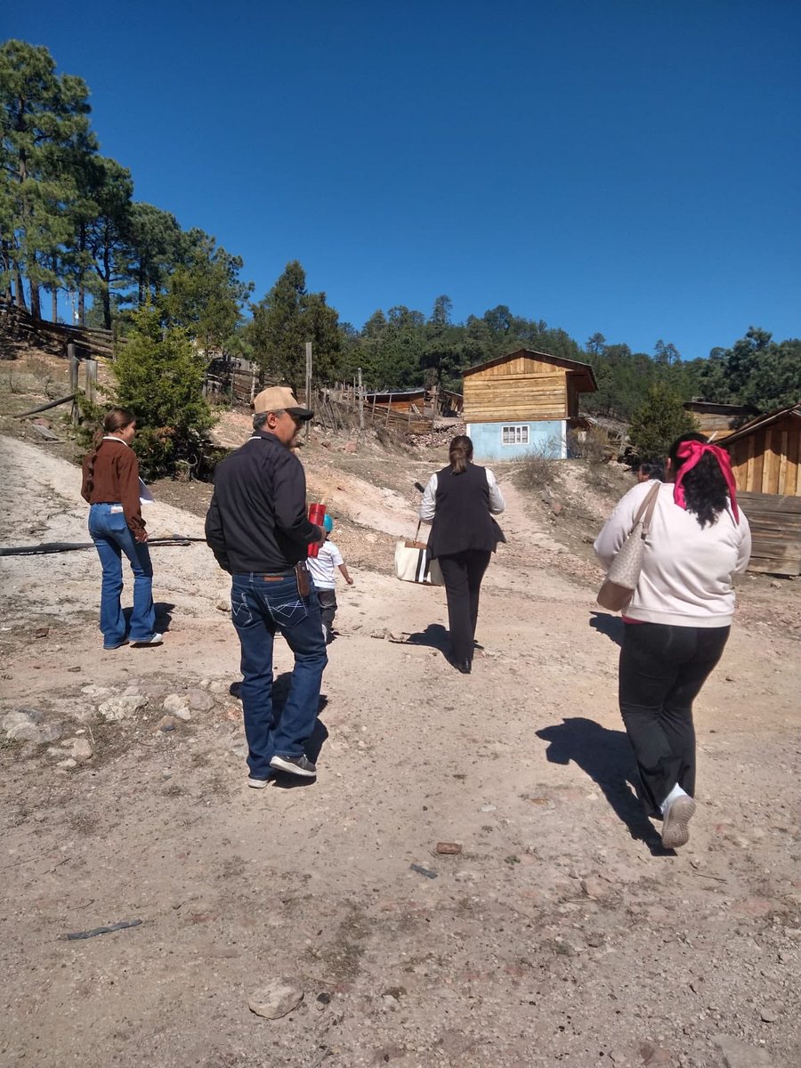 Faustino Armendáriz tweet media