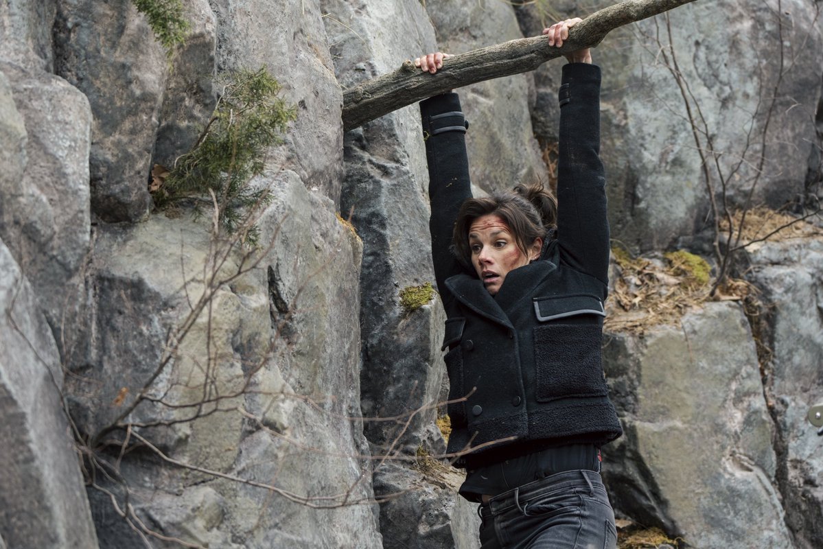 Wolf Entertainment tweet media