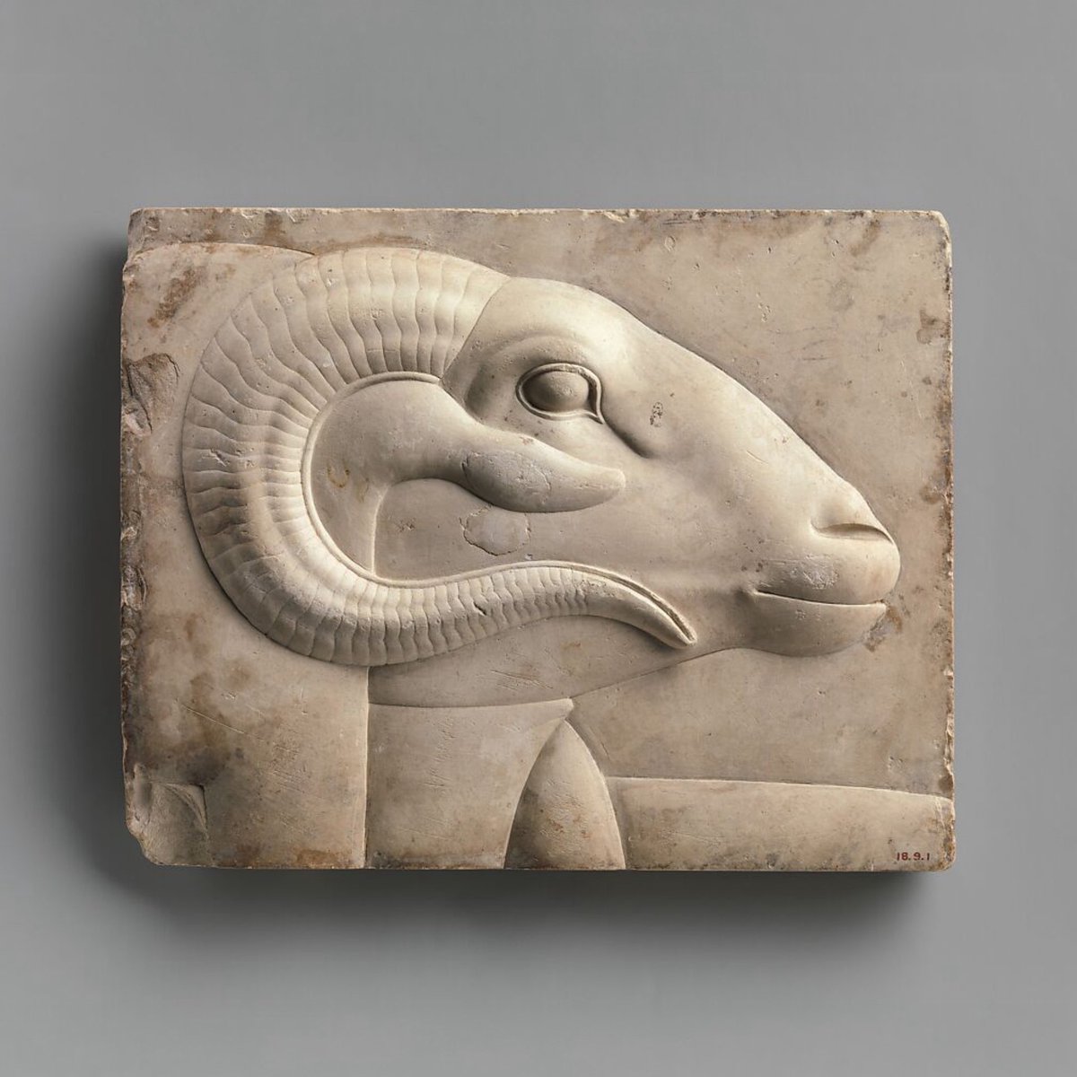 Symbolic Studies tweet media