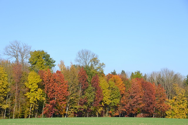 Sean Rodriguez tweet media