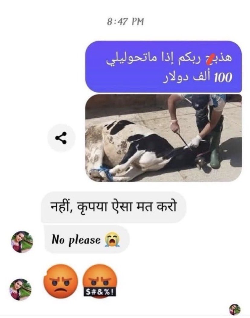 محمد tweet media