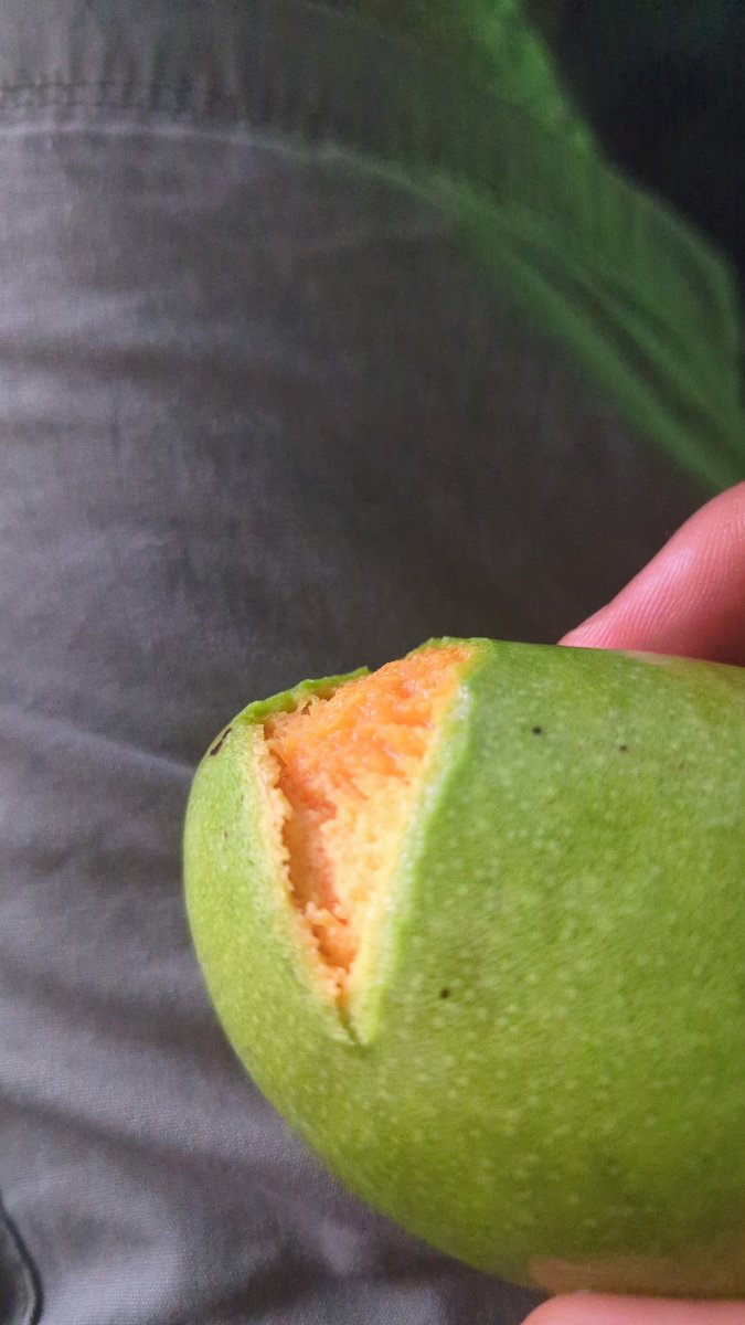 Daniel Parkson tweet media