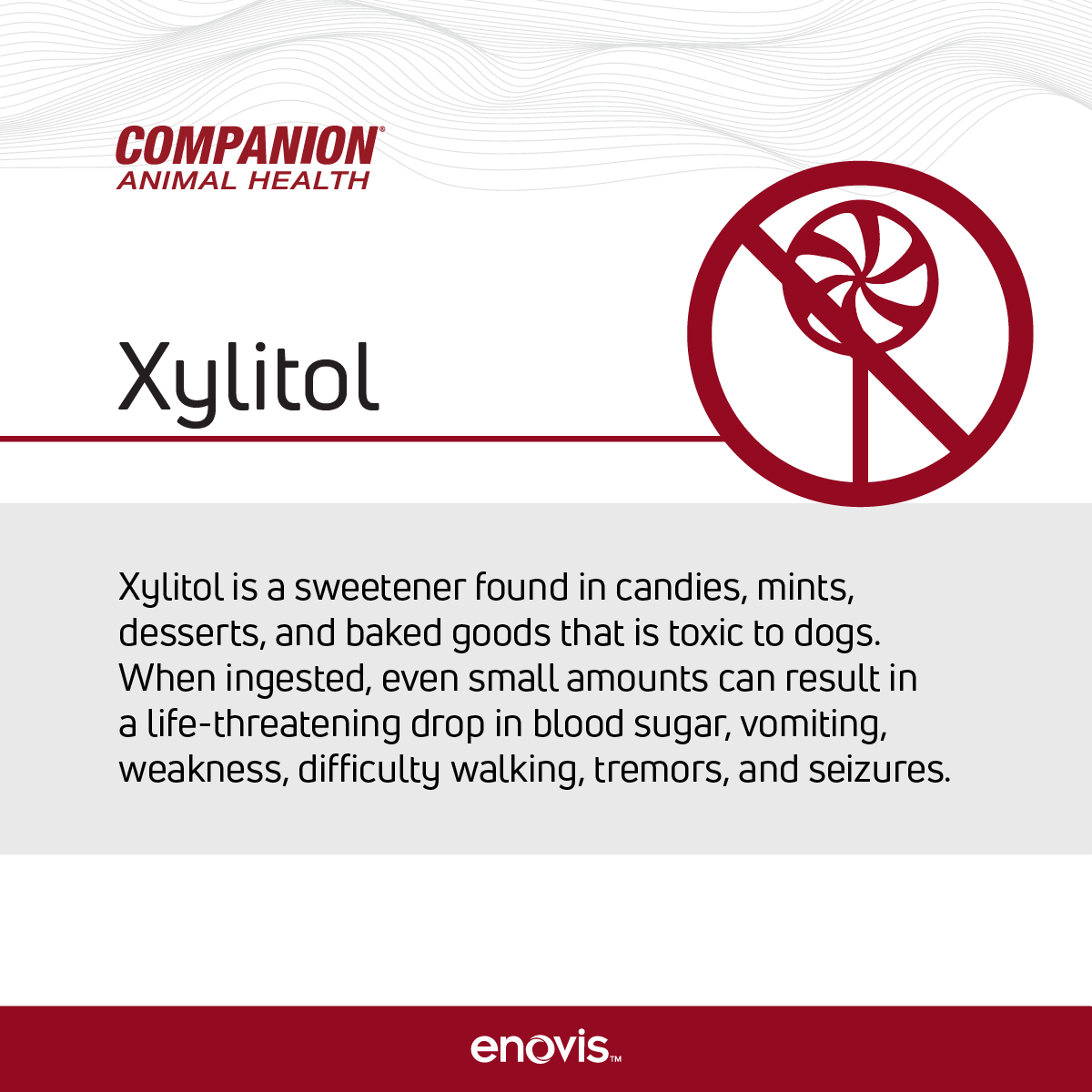 Companion Animal Health tweet media