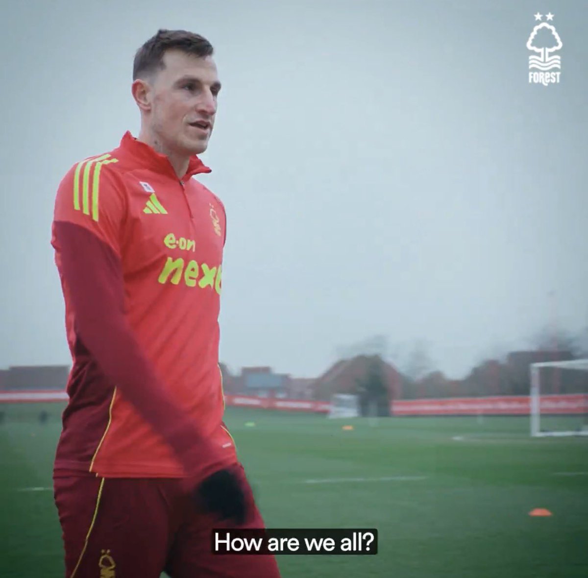 GIFS, Funny and Forest tweet media