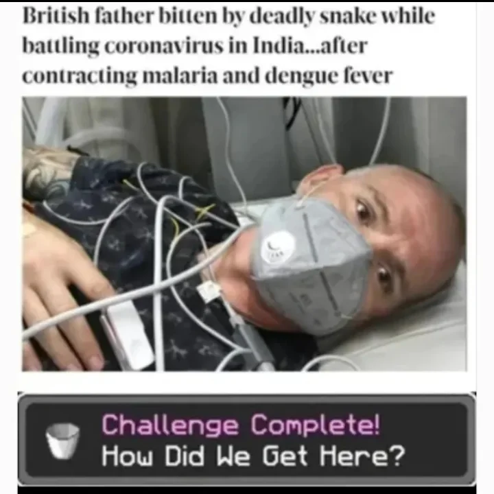 Minecraft Memes ⛏️ tweet media