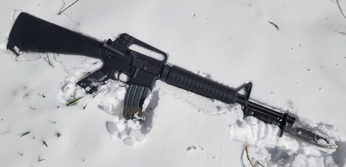 StupidSexySpaceDog tweet media