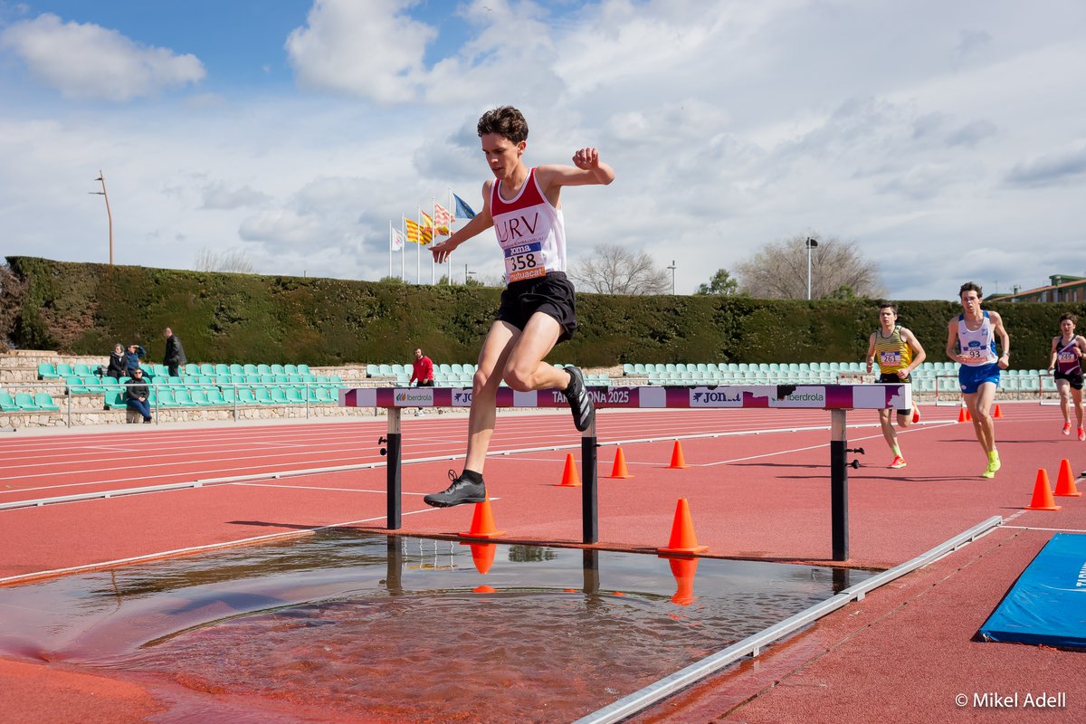 Universitat Rovira i Virgili tweet media