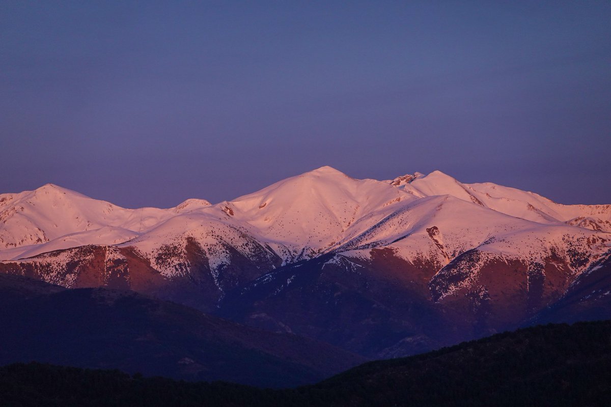 Toño Cañadas tweet media