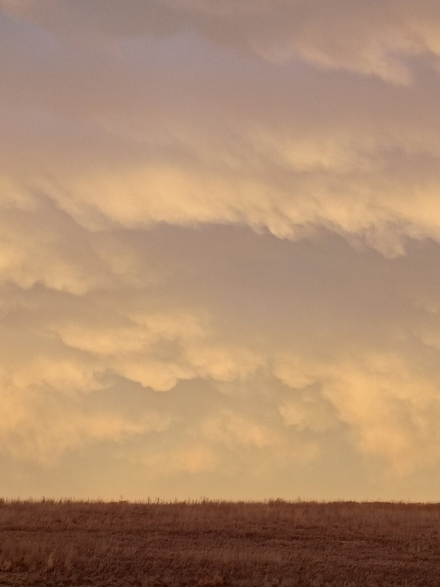 The Thing In Full tweet media