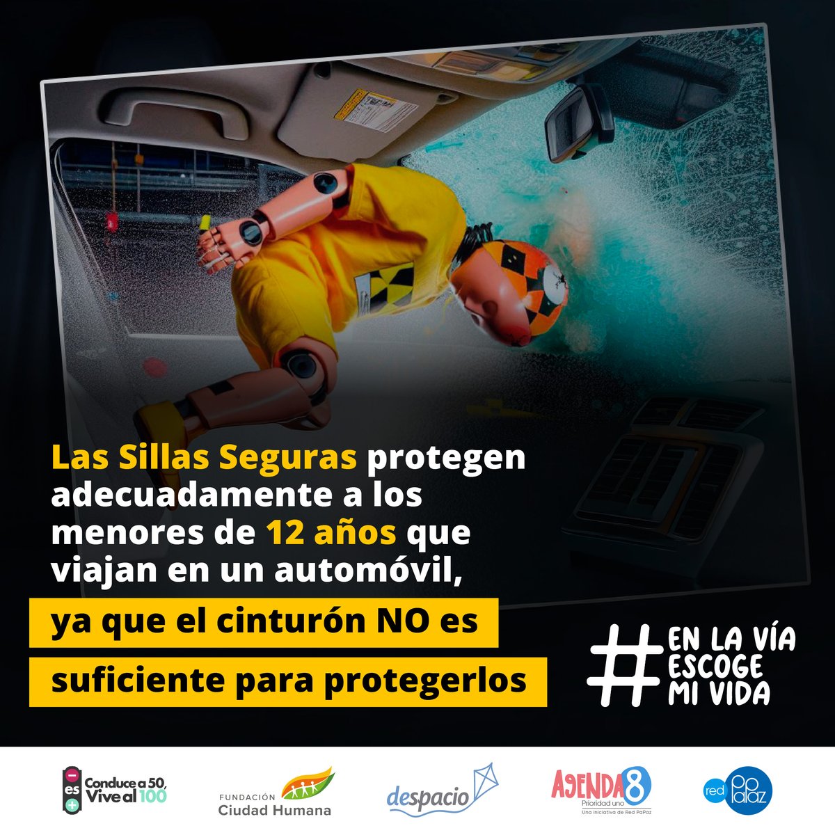 Red PaPaz tweet media