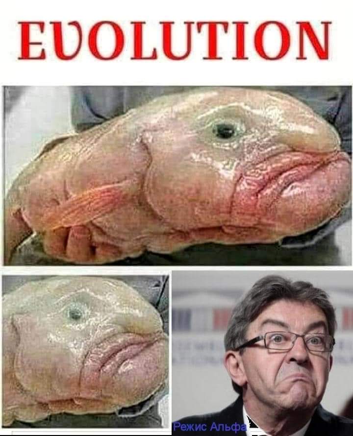 Je Suis l'Unique🇲🇫 tweet media