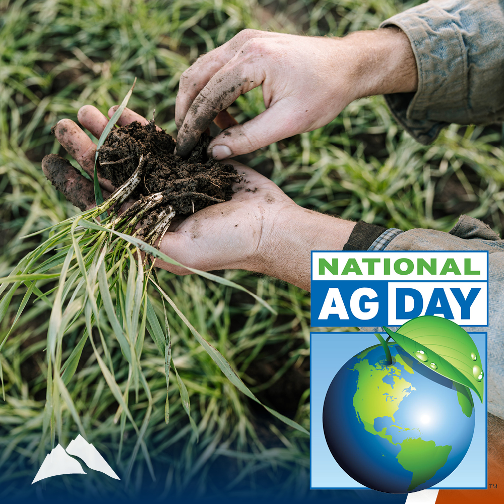 State Bank Northwest tweet media