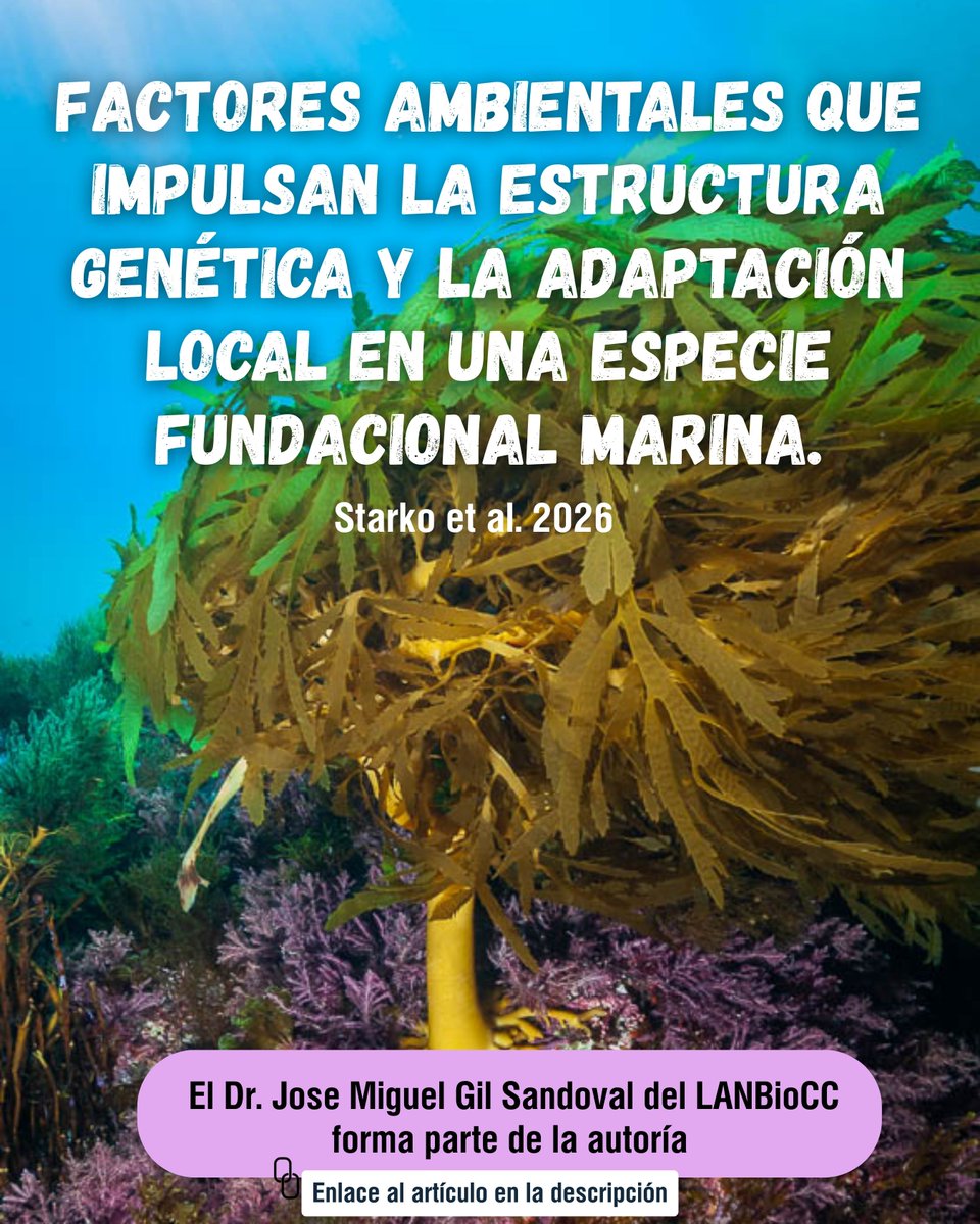 LNCBioCC tweet media