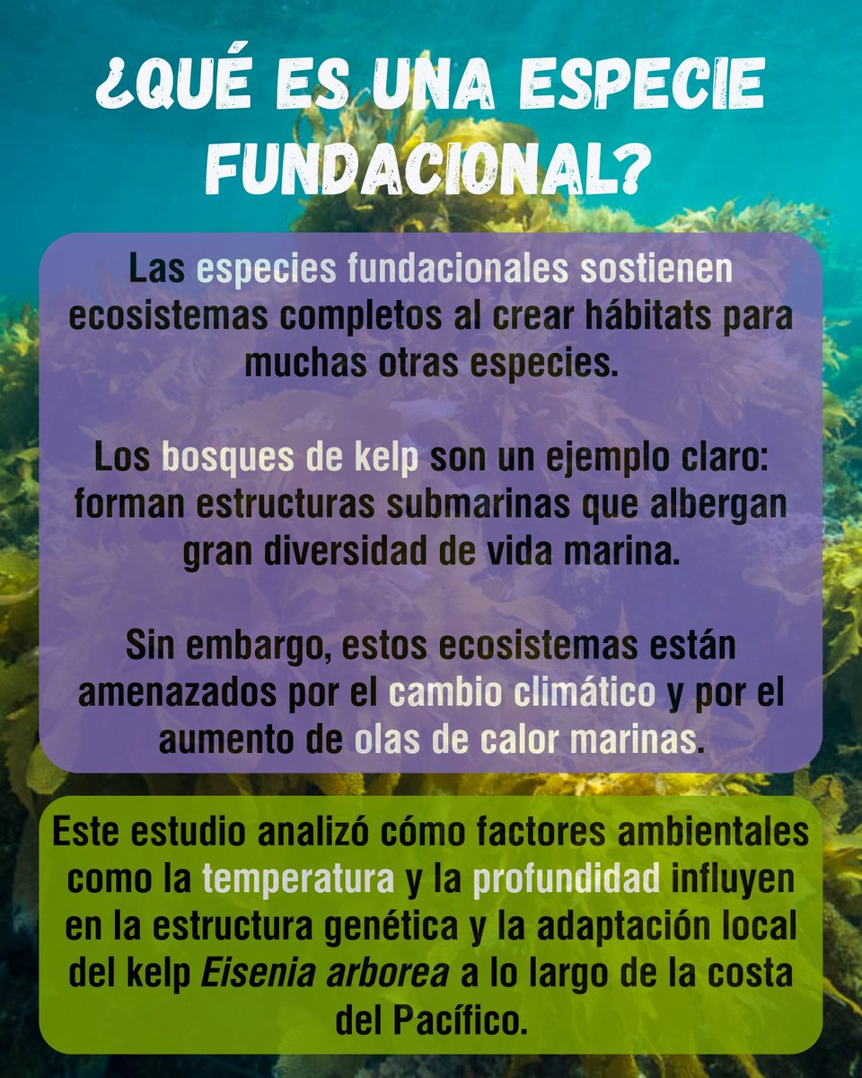 LNCBioCC tweet media