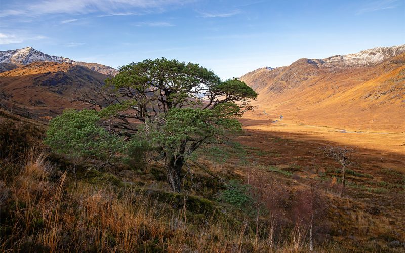 British Travel Journal tweet media