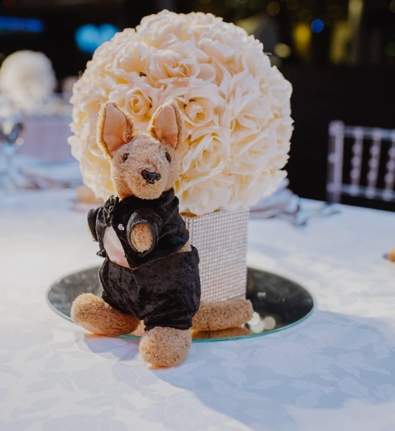 Michelle tweet media