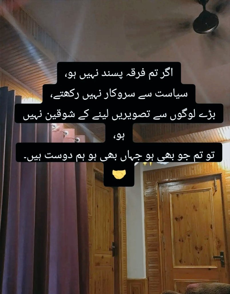 Brofessor tweet media