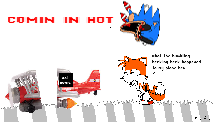 Miggle the Smeghog  tweet media