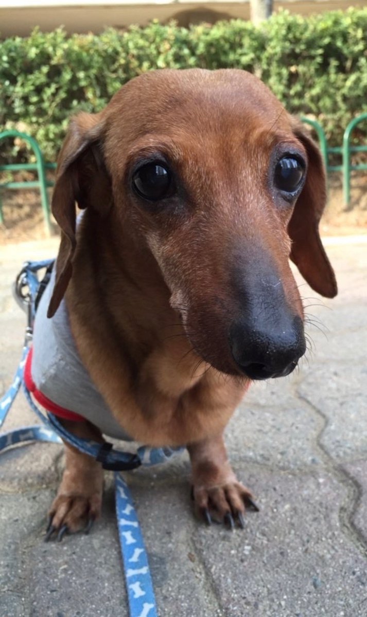 authorhee72 tweet media