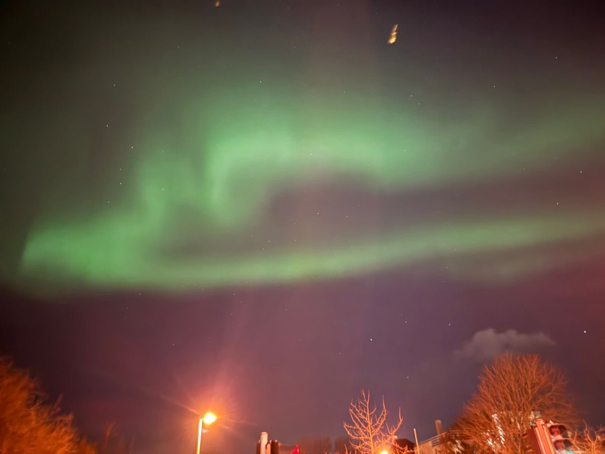 Ali Coskun tweet media