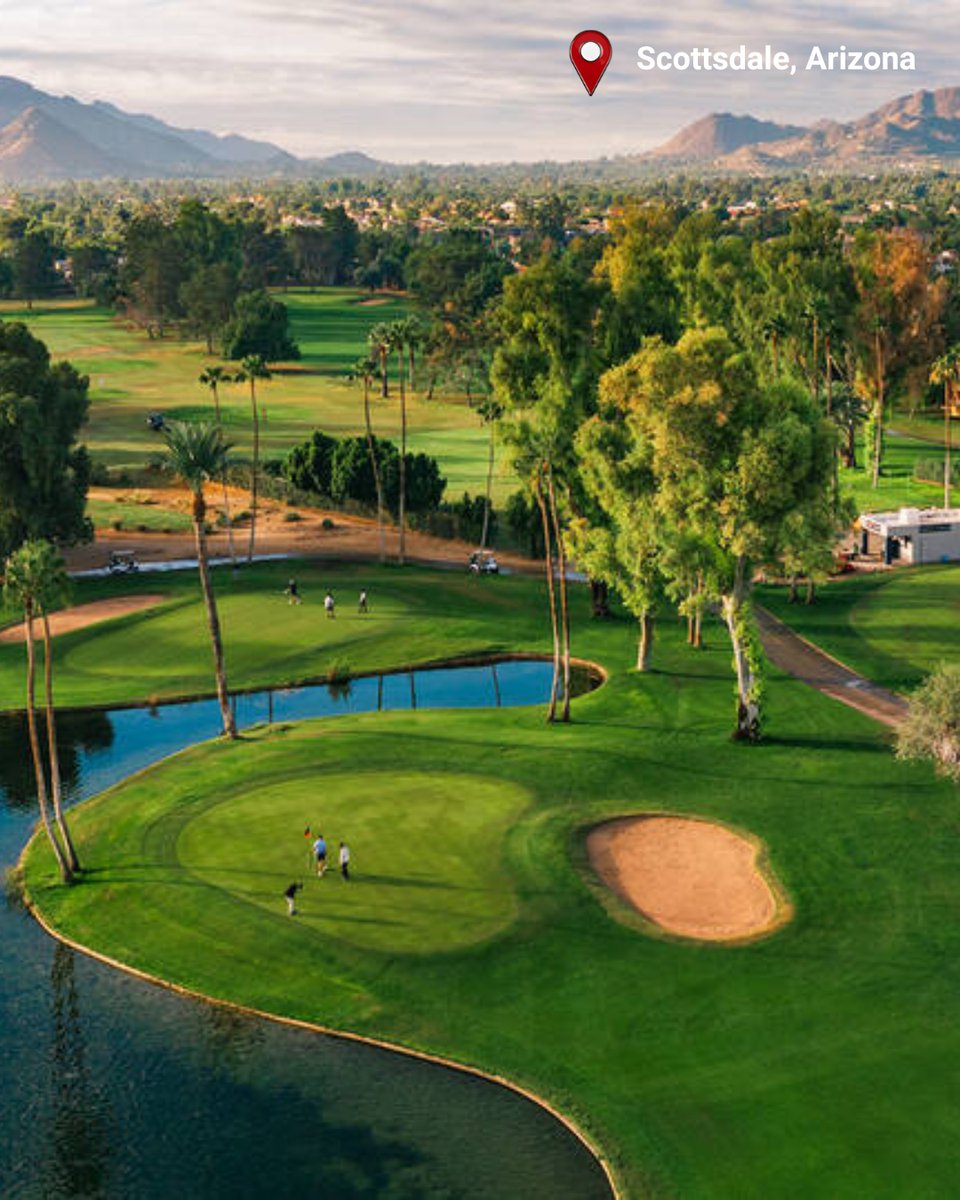 RedWeek Official tweet media