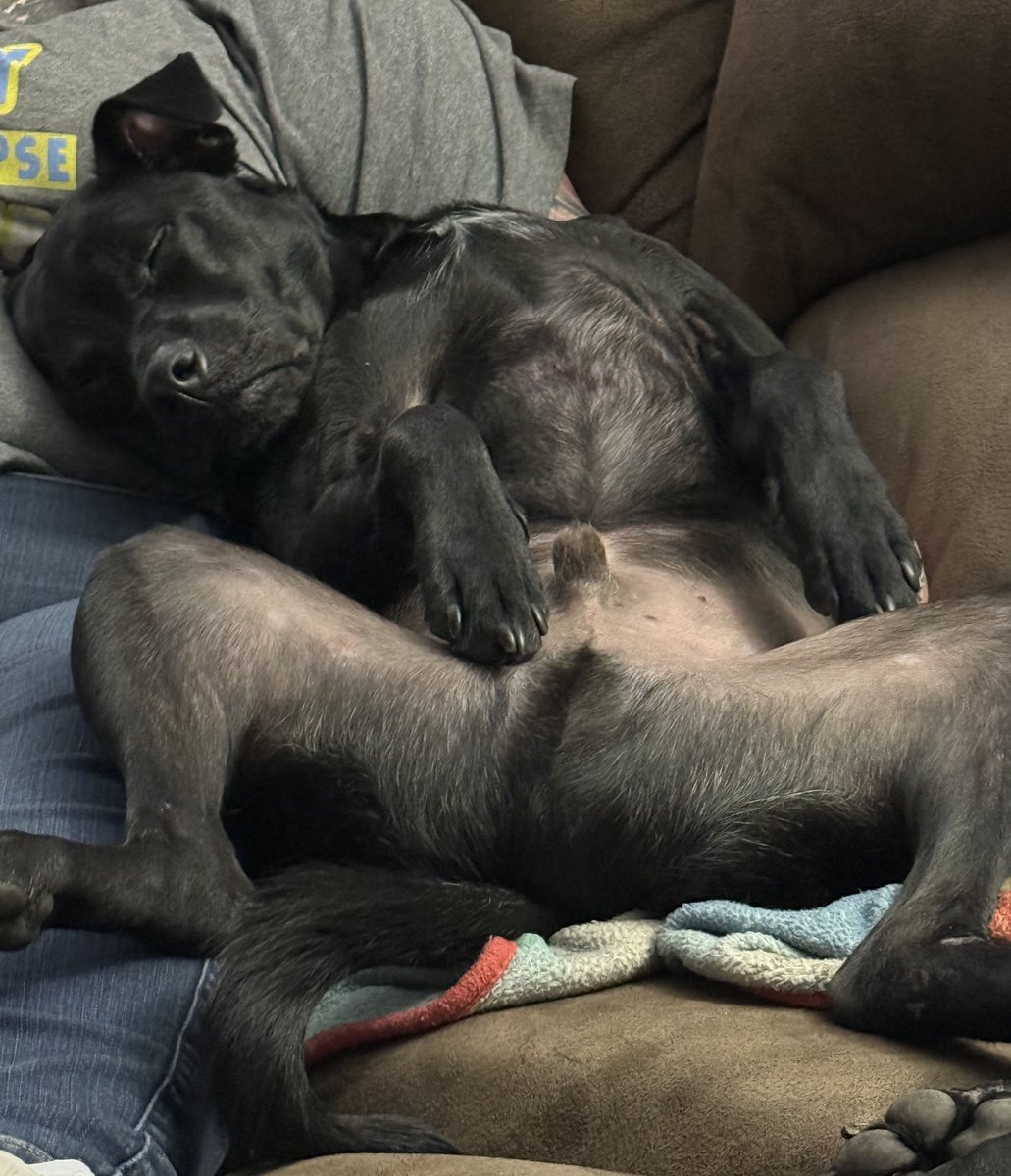 Jamie Oller tweet media