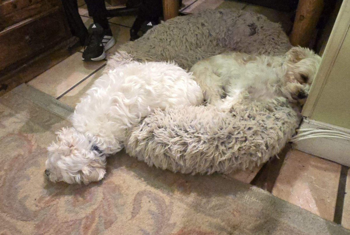 Stephanie Miller tweet media