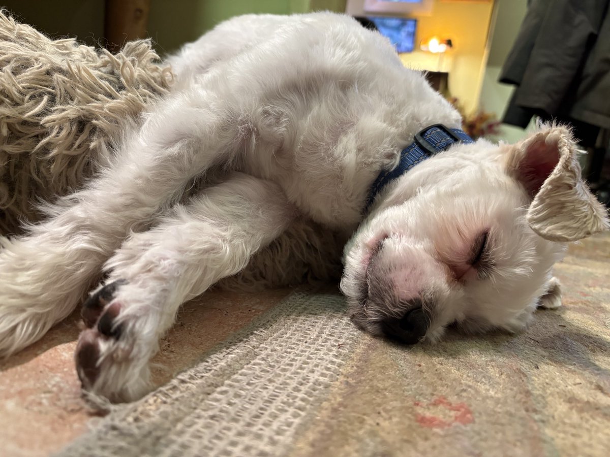 Stephanie Miller tweet media