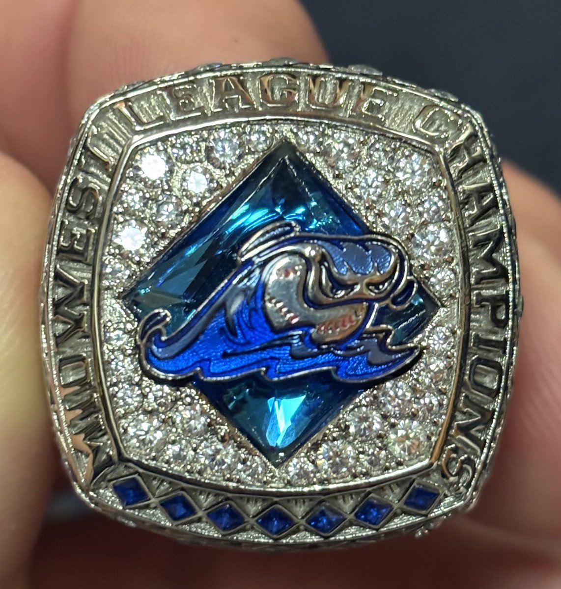 Tony Cappuccilli tweet media