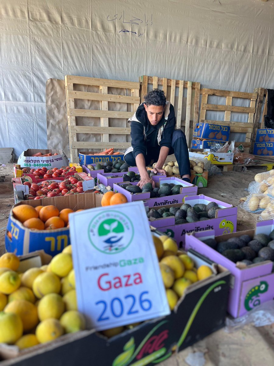 Friend Ship - Gaza🍉🇵🇸 tweet media