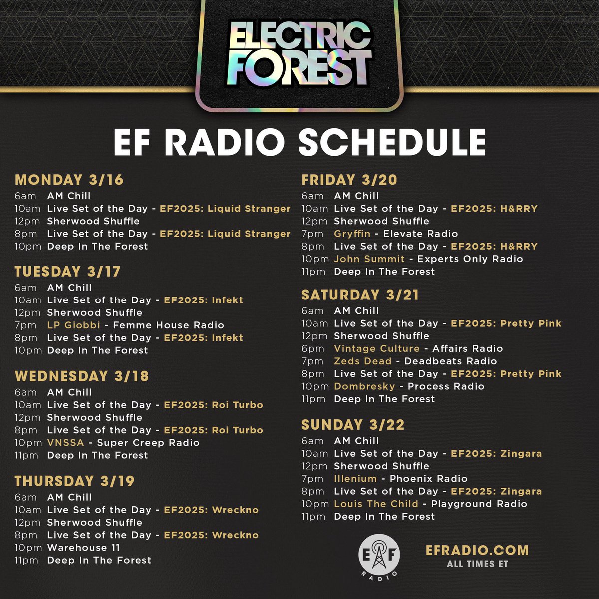 Electric Forest ⚡🌲 tweet media