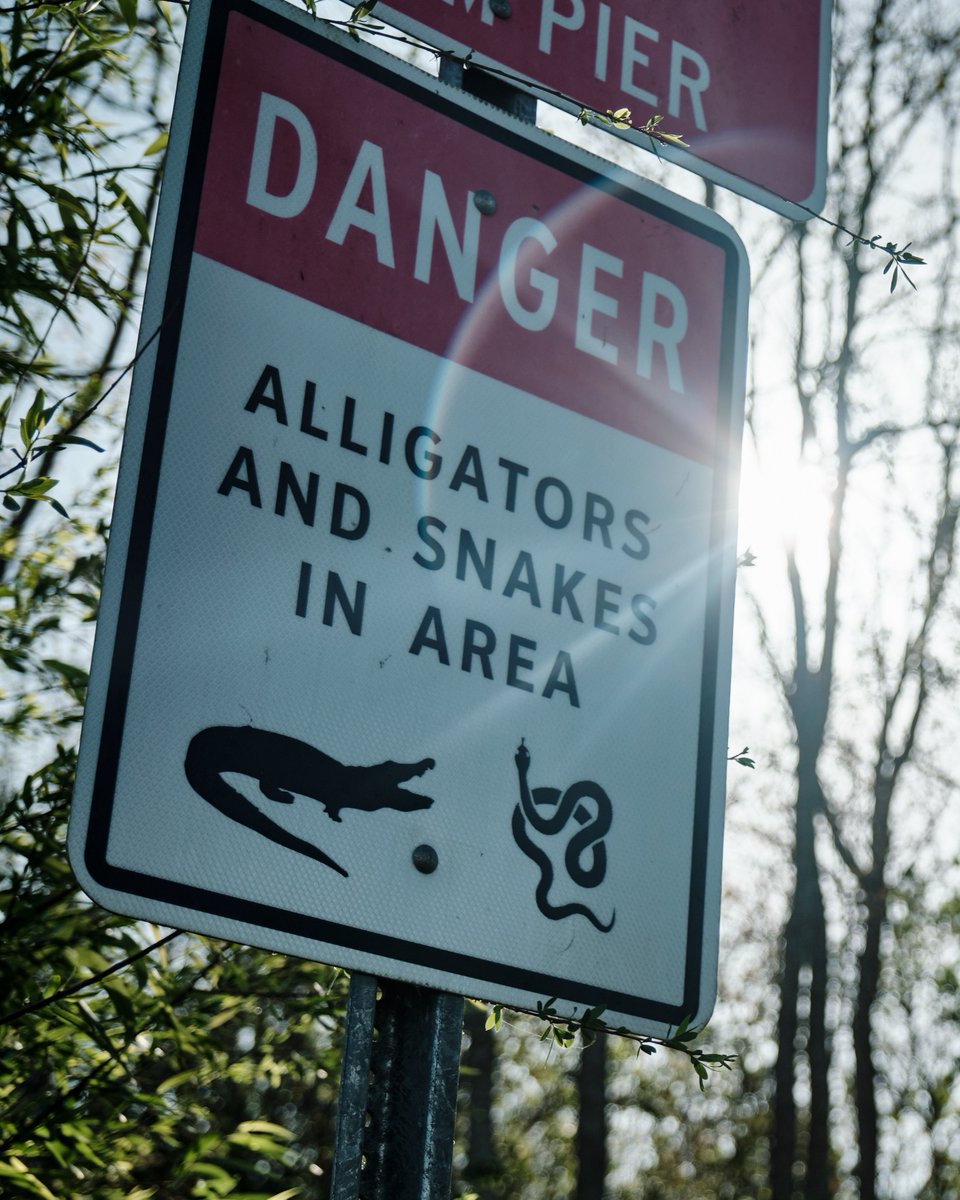 Disc Golf Pro Tour tweet media