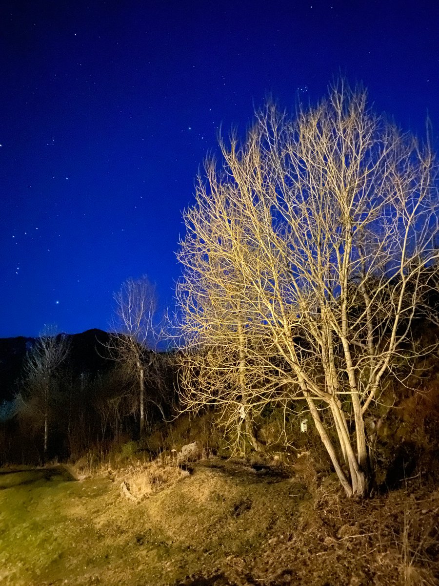 Torbjørn Lien tweet media