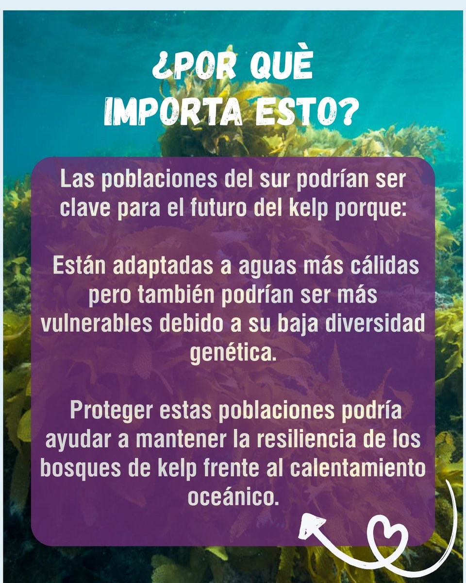 LNCBioCC tweet media