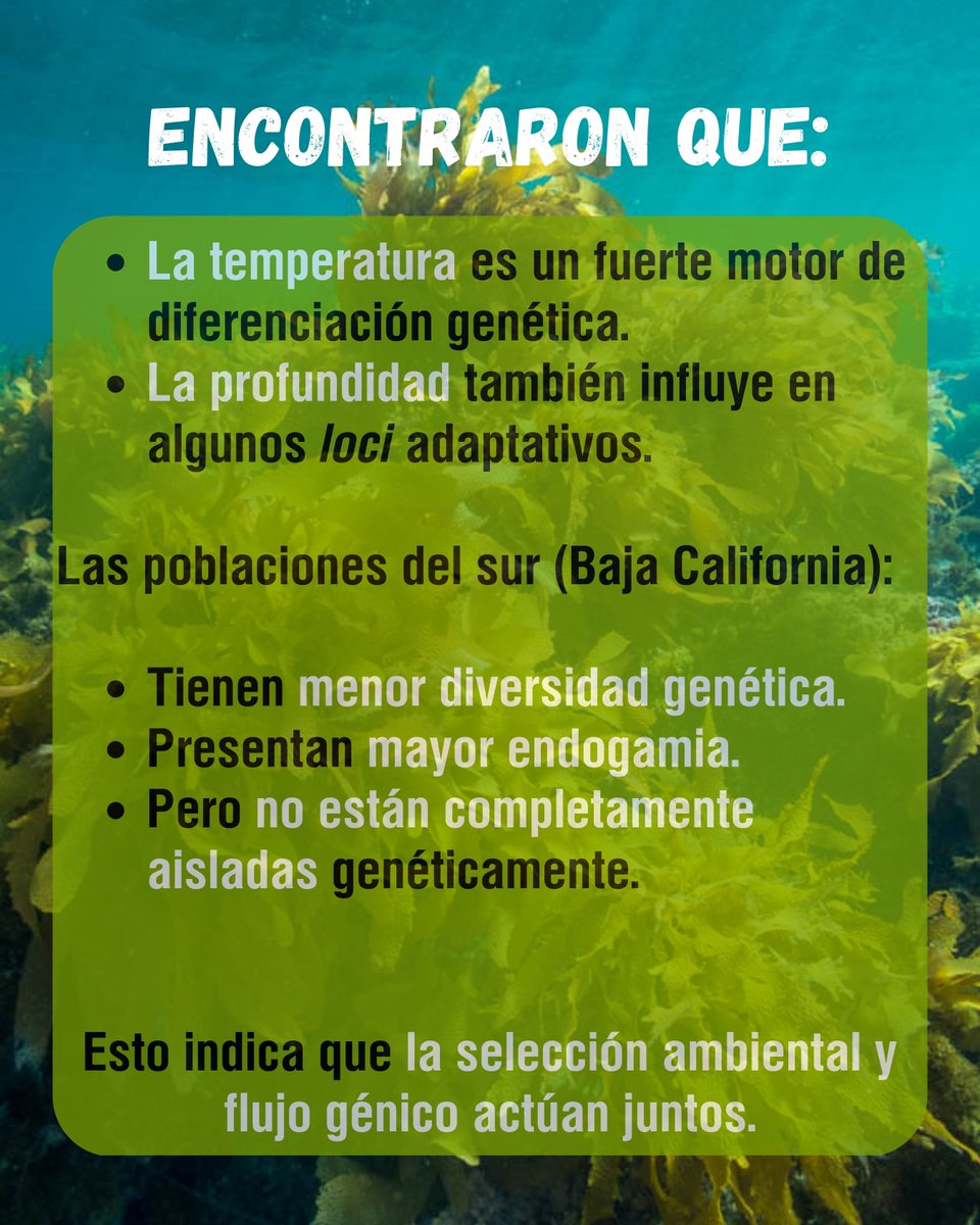 LNCBioCC tweet media