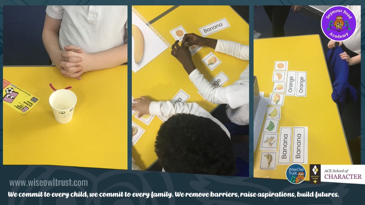 Wise Owl Trust tweet media