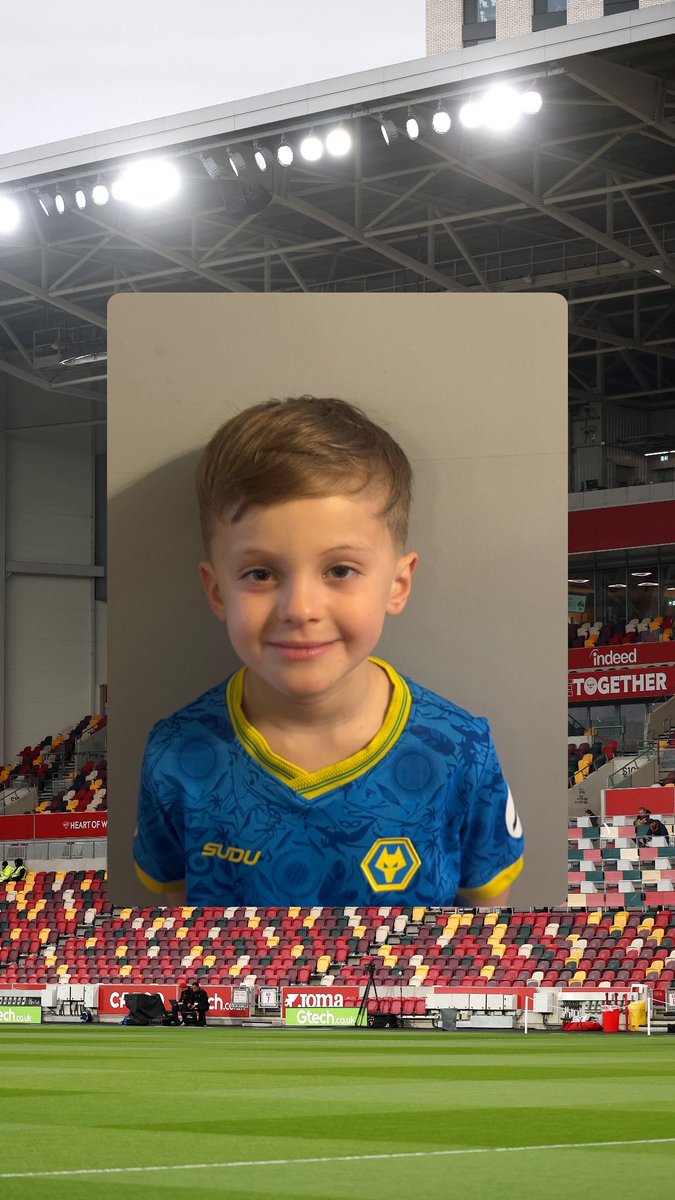 Young Wolves tweet media