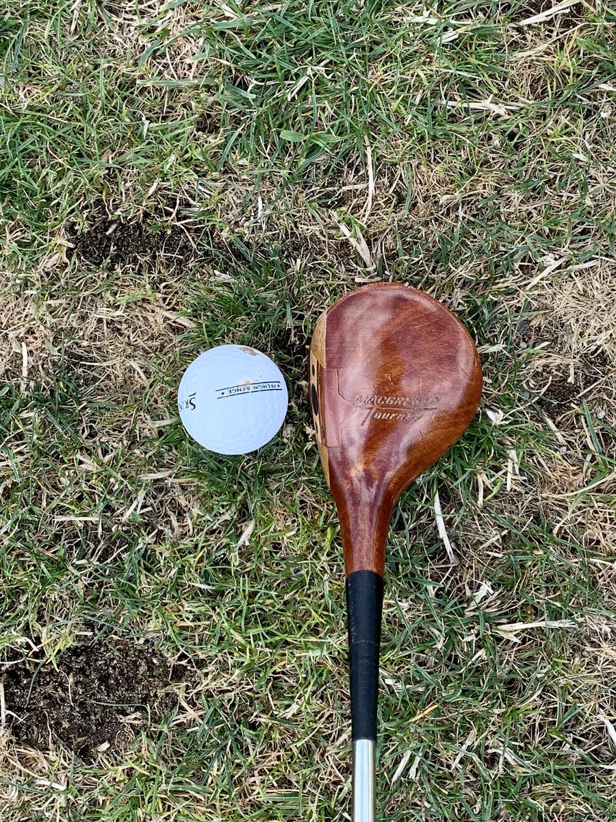 Marqee Suede tweet media